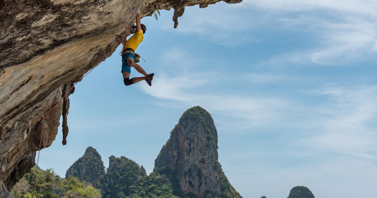 從霍諾德登頂臺北 101 看見的三件事：天賦、職涯專案化與城市行銷的現代啟示